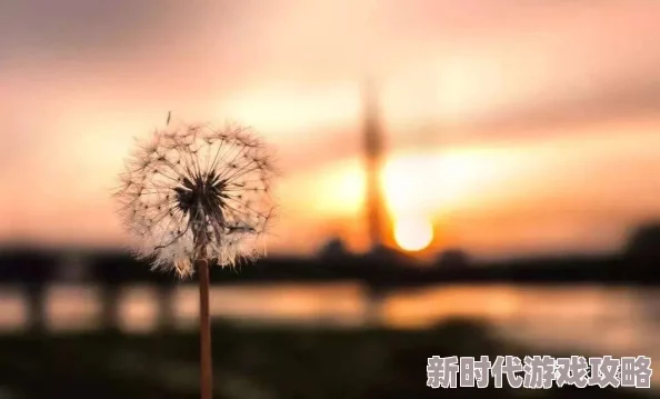 在生活中学会适度：如何理解‘嗯不要太深了’的智慧与哲理