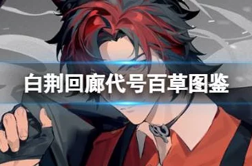 白荆回廊元桃桃角色强度怎么样？全面解析与实战评估