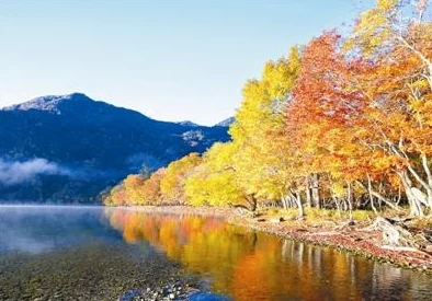 探索日本文化与现代生活交融的奇妙旅程：18岁以上的精彩视频分享平台