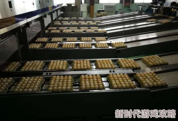 探索破碎之地:如何在极端环境下实现高效稳定的传送技术 探索破碎之地:如何在极端环境下实现高效稳定的传送技术