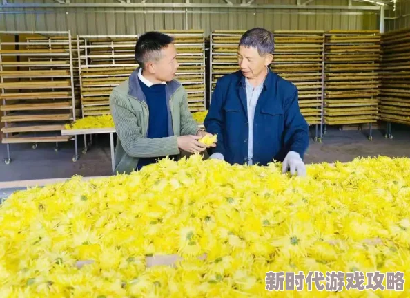 haijiao披风少年:勇敢追梦,展现青春力量与海洋的无限可能 haijiao披风少年:勇敢追梦,展现青春力量与海洋的无限可能