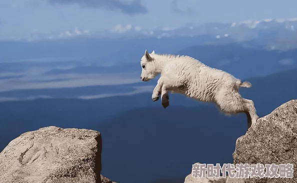 探索日本文化中的独特现象：吃奶主题的日本视频作品解析与讨论