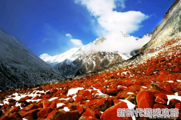 777xxxx:震撼消息!全球最高峰即将迎来前所未有的崩塌,科学家警告可能引发重大生态灾难! 777xxxx:震撼消息!全球最高峰即将迎来前所未有的崩塌,科学家警告可能引发重大生态灾难!