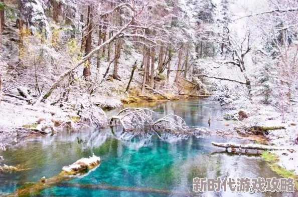 无尽冬日生存攻略:高效集结技巧与策略推荐,助你温暖过冬秘籍 无尽冬日生存攻略:高效集结技巧与策略推荐,助你温暖过冬秘籍