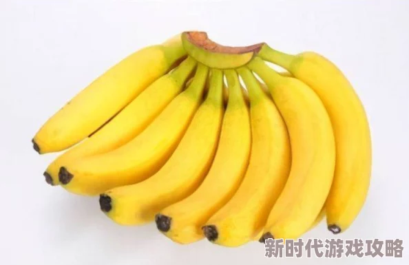 国产香蕉尹人综合在线观：市场需求持续增长，种植技术不断提升，推动产业链发展与国际合作加深