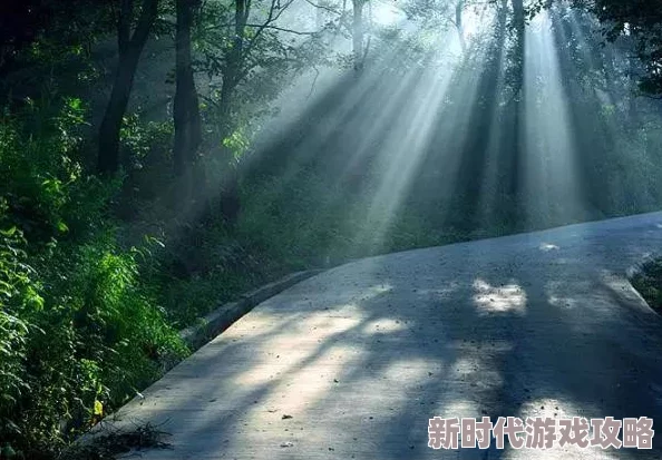 清晨的湿润气息：在晨曦中感受自然的细腻与生命的脉动