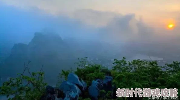 清晨的湿润气息：在晨曦中感受自然的细腻与生命的脉动