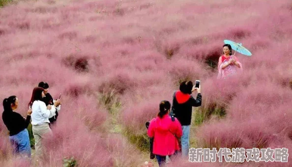 探索真实国产乱子伦的多样性与文化影响：从传统到现代的深度剖析