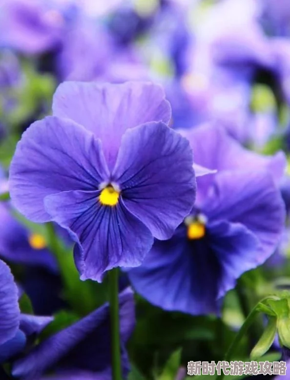 当美女大胆展现自我，男人们如何在玩乐中探索彼此的界限与欲望？