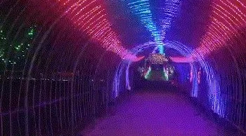 深夜福利:探索那些令人心动的美女瞬间,尽享视觉盛宴与无限魅力 深夜福利:探索那些令人心动的美女瞬间,尽享视觉盛宴与无限魅力