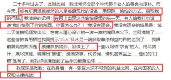 乱轮高哥起玩姝姝时另高，最新动态曝光：两人互动频繁，引发网友热议与关注！