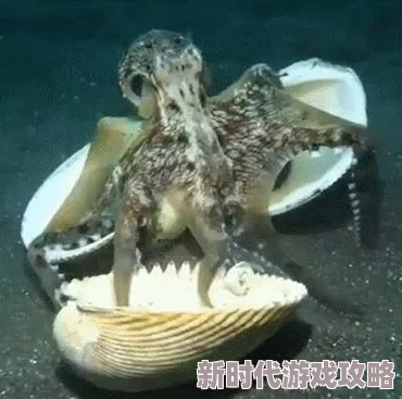 一人一狗卡了6小时，竟发现神秘生物潜伏周围，惊动全城！
