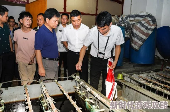 免费看污的视频：最新进展揭示了平台监管力度加大，用户观看体验和内容安全性得到显著提升