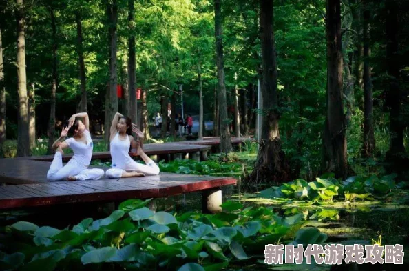 双手游走在你茂密的森林：感受自然之美，体验心灵的宁静与放松，享受人与自然的和谐共生
