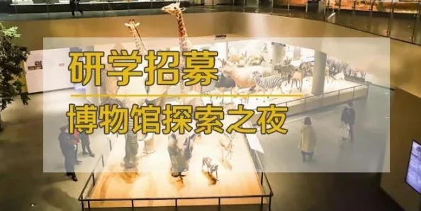 探索日本视频的魅力：从传统文化到现代潮流，带你领略不一样的视听盛宴！