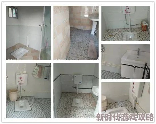 探索久久厕所精品国产精品亚洲：提升生活品质的独特体验与选择