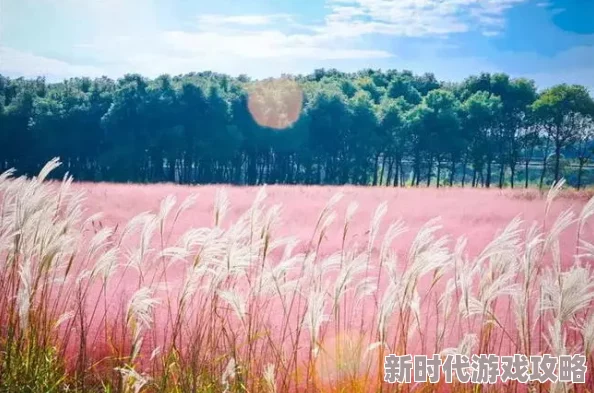 探索久久99国产乱子伦精品免费：揭示其背后的文化与社会影响