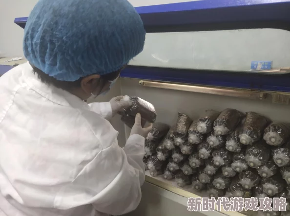 蘑菇吃瓜料每日爆料，真是让人期待，每天都有新鲜事儿！