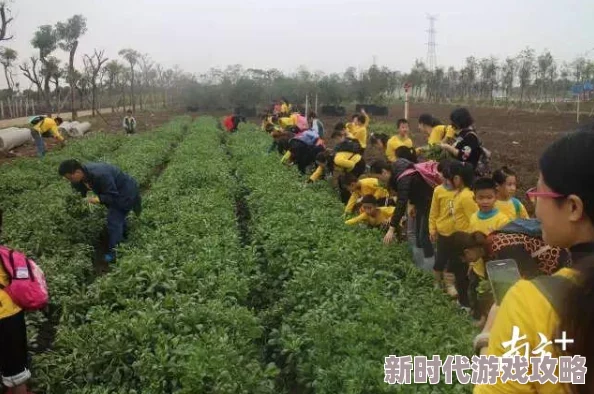 探索无限可能：如何在生活中找到免费看资源的秘密与技巧，享受高品质体验不花一分钱！