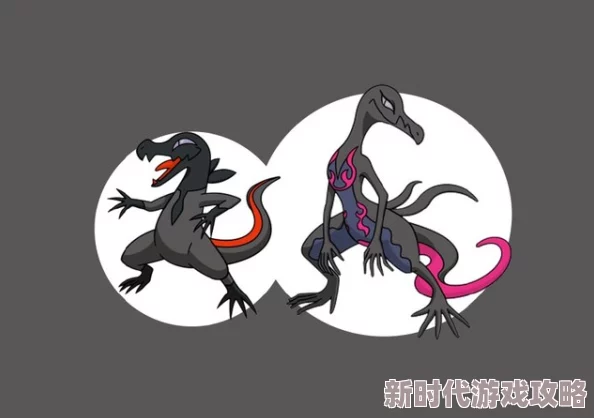 神秘而迷人的夜行生物——夜盗火蜥全面介绍与探索 神秘而迷人的夜行生物——夜盗火蜥全面介绍与探索