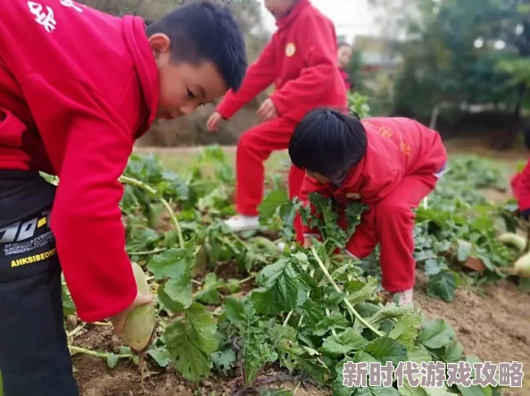 男女拔萝卜，真是有趣的活动，体现了团队合作和默契，值得大家参与！