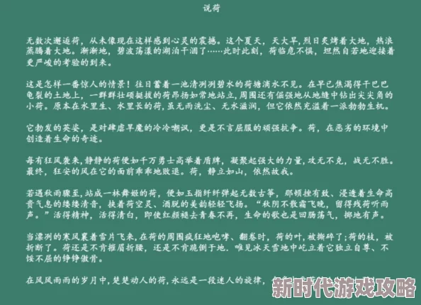 适合做前看的短文，内容简洁明了，非常适合快速了解某个话题的精华