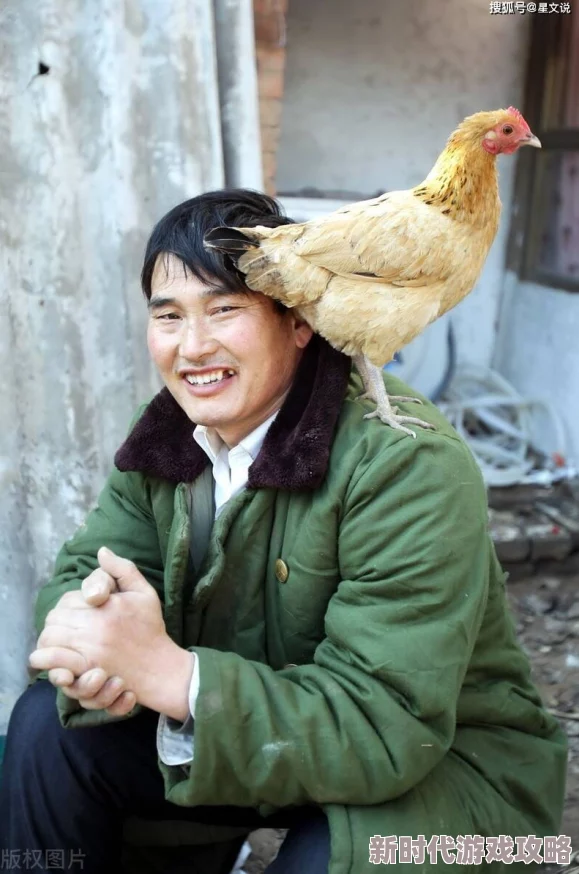 老农民里的老干棒媳妇人物介绍，展现了农村生活的真实与温情，让人感同身受