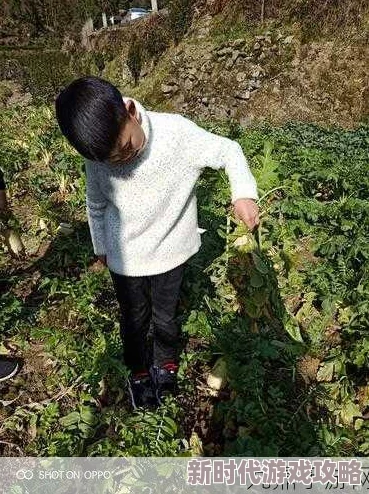 拔萝卜黄降9.1，这个消息真让人意外，期待后续的市场反应和分析