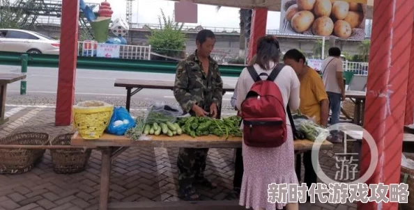 丝瓜Aaa，真是个有趣的名字，让人忍不住想了解更多关于它的故事和用途