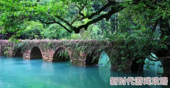 让我欣赏一下你的小森林，真希望能看到更多美丽的自然风景和动人的故事