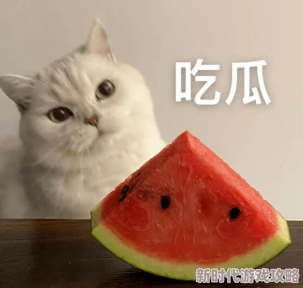 蘑菇视频吃瓜爆料,真是让人意想不到的内幕,网友们纷纷表示期待更多细节! 蘑菇视频吃瓜爆料,真是让人意想不到的内幕,网友们纷纷表示期待更多细节!