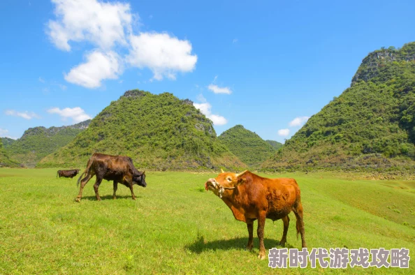 奶牛镇的美好小时光：详尽攻略解锁温馨毛巾与泛黄老照片任务——揭秘深藏的旧时光印记探秘