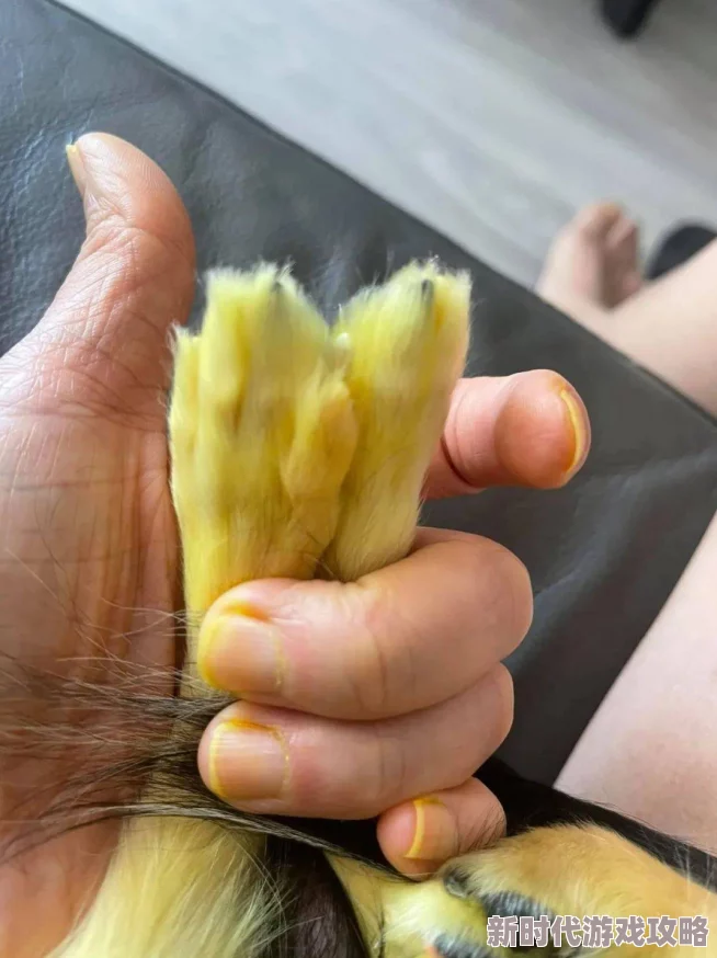 特黄极一清二楚一带毛，真是让人感到无奈，这种现象需要引起重视