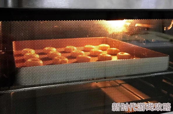 新手找不到入口准确位置，真是让人感到困惑，希望能有更清晰的指引