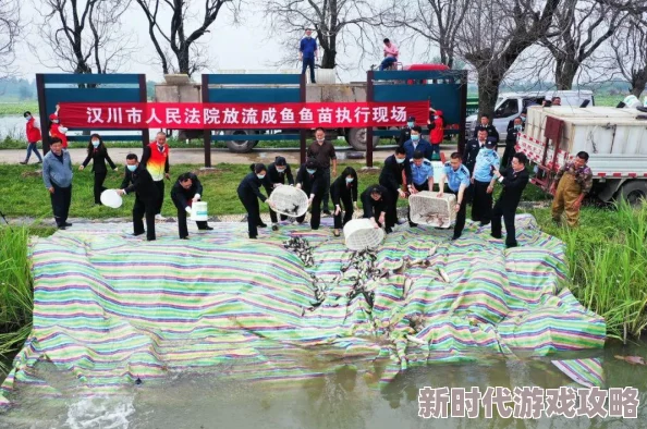 99久久精品久久久：最新进展显示该平台在用户增长和内容多样性方面取得显著提升，吸引了更多年轻用户的关注
