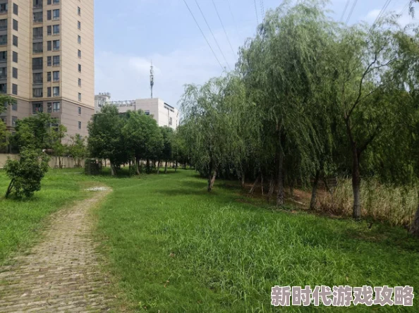 忘忧草社区一卡二卡新区，环境优美，设施齐全，是个放松心情的好去处