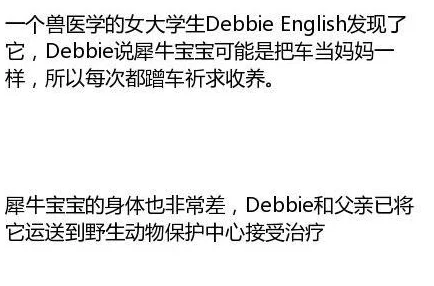 罪母：在法律与道德的交锋中，如何看待一个母亲的选择与后果？