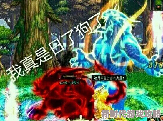 DNF中哪个辅助职业具备最强大的增伤能力形容词描述