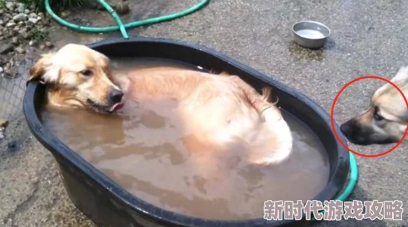 好紧好涨好水h视频,网友们纷纷表示这部作品的画面质量和剧情都很吸引人 好紧好涨好水h视频,网友们纷纷表示这部作品的画面质量和剧情都很吸引人