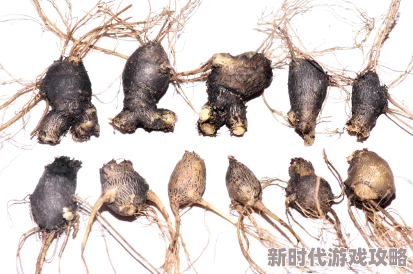 高效应对饥荒中的中毒危机：全面解析快速解毒方法与技巧