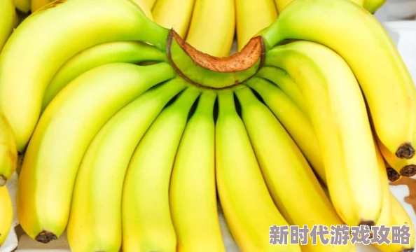 香蕉视频成人，内容丰富多样，但需注意选择适合自己的观看方式