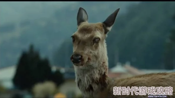 探索中字韩国乱理片的魅力与文化背景，揭示其背后的故事与影响