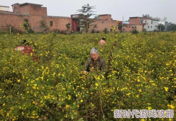 答错一题菊花放一支笔五条悟,这个梗真是太有趣了,大家都在玩得不亦乐乎! 答错一题菊花放一支笔五条悟,这个梗真是太有趣了,大家都在玩得不亦乐乎!