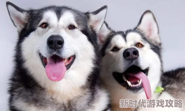 一边摸一边脱，这种行为真是让人哭笑不得，难道就不能好好穿衣服吗？