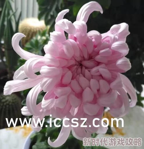 跟jk制服老师超短裙啪啪，真是让人想象无限，这种情节太刺激了！