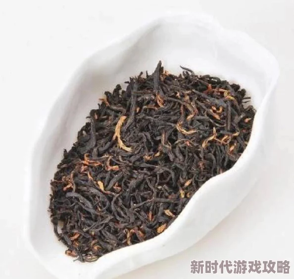高h乱l高辣h文古代，真是让人感受到古代文化的多样性与复杂性，值得一读