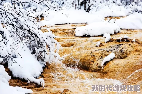 精彩纷呈的梦幻西游手游元旦节活动攻略：详尽元旦节活动介绍