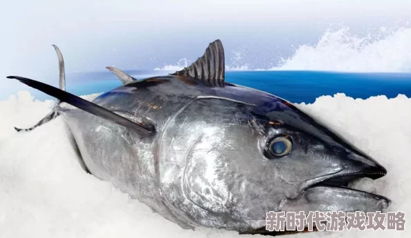 深度探寻食物之力——精妙解析双皮刀鱼的独特与非凡技能