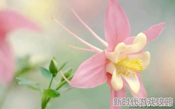 真实破外女摘花流血了，真是让人心痛，希望她能早日康复，注意安全