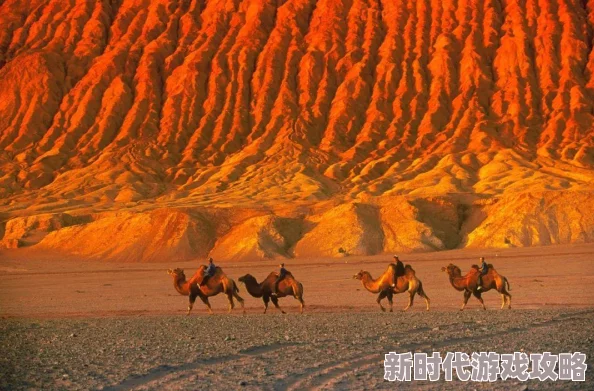 DNF中烈焰的炽热与光明的璀璨：哪个更加出色且引人入胜？